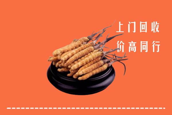 高价求购：杭州富阳区回收散虫草