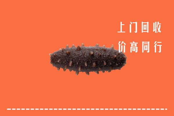 高价求购：杭州富阳区回收海参
