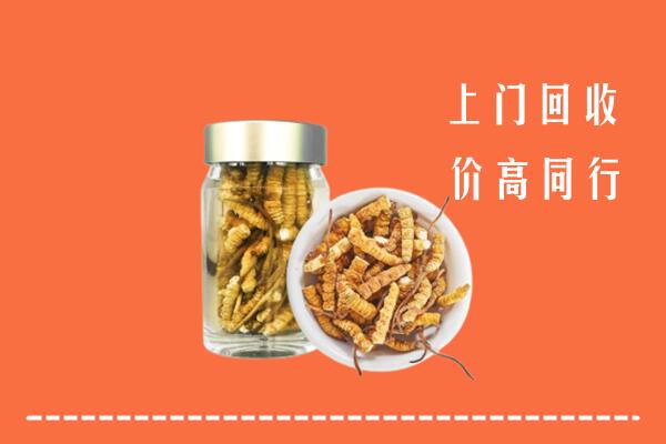 杭州富阳区回收冬虫夏草